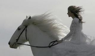 身骑白马闽南语 身骑白马闽南语