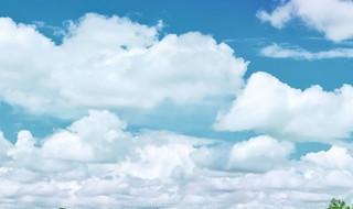 美丽的草原一望无边